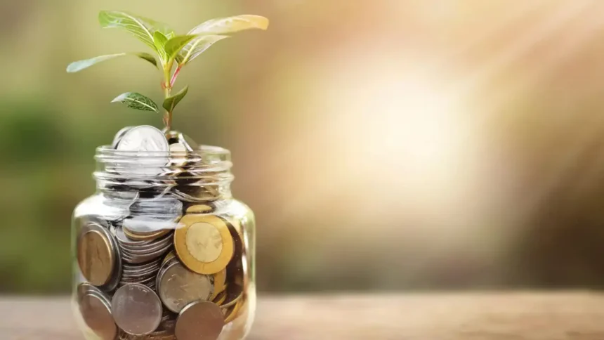 Microfinance Portfolio Declines 14% Amid Asset Quality Concerns