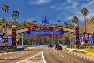 Best Credit Cards for a Disney Vacation