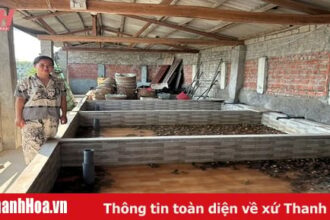 Development of an economic model from microfinance capital in Thanh Hoa