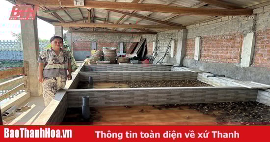 Development of an economic model from microfinance capital in Thanh Hoa