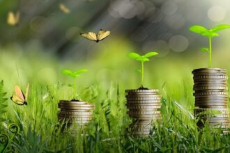 Tunisia: microfinance institutions in the face of refinancing obstacles and digitalization